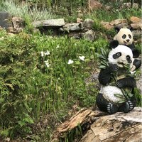 Design Toscano Tian Shan Asian Panda Statue & Reviews | Wayfair